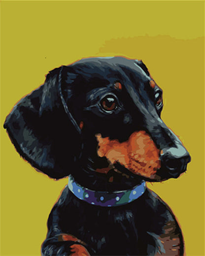 Paint by Numbers | Furry Friend